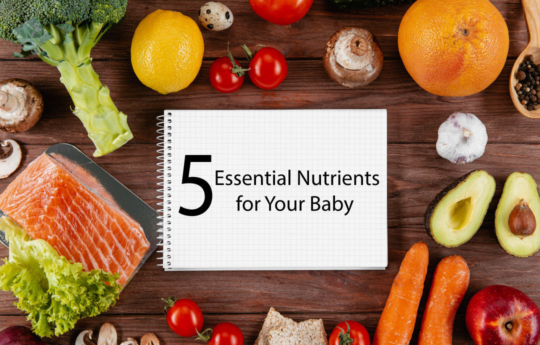 5 Essential Nutrients to Feed Babies After First 6 Month