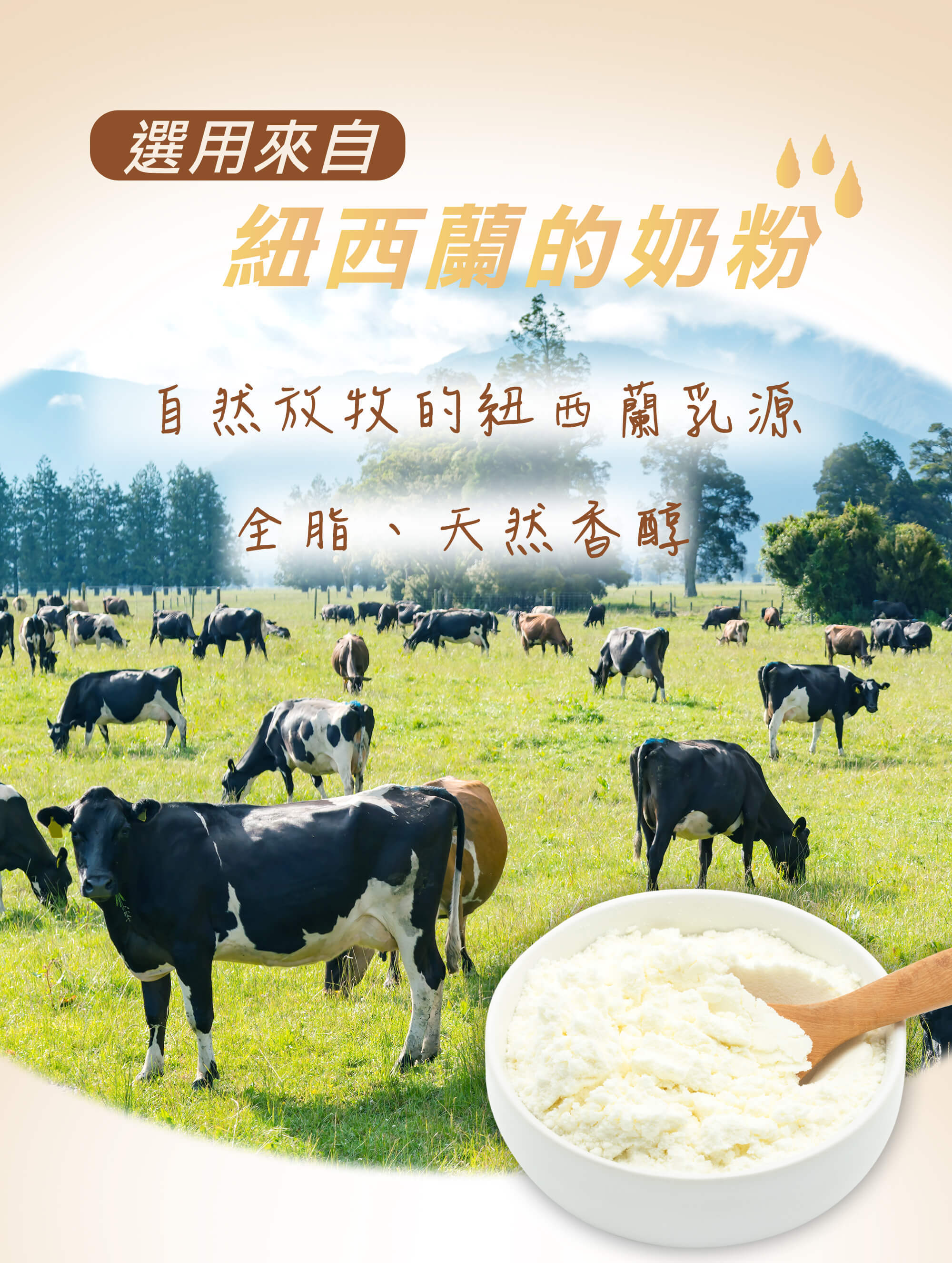 益生元纖奶茶選用來自紐西蘭的全脂奶粉 益生元纖奶茶選用來自紐西蘭的奶粉