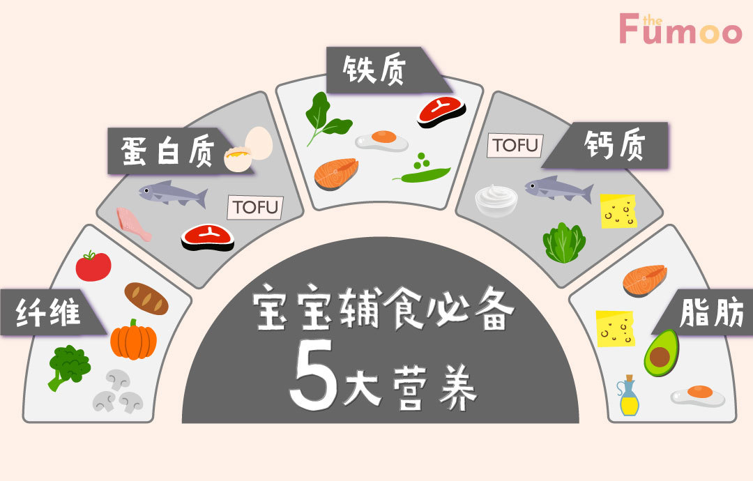宝宝辅食必备的5大营养
