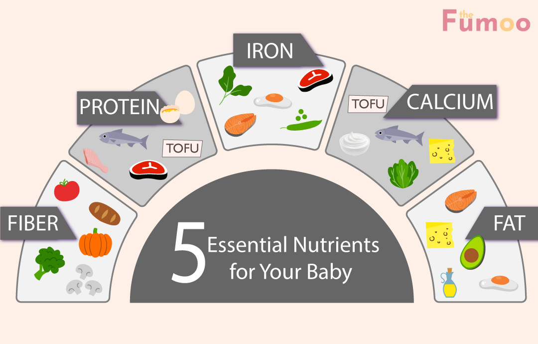 5 Essential Nutrients for Your Baby