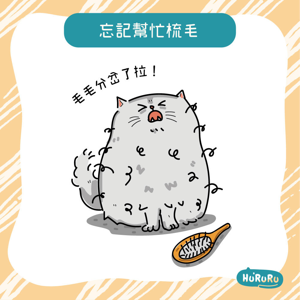 忘記幫忙梳毛