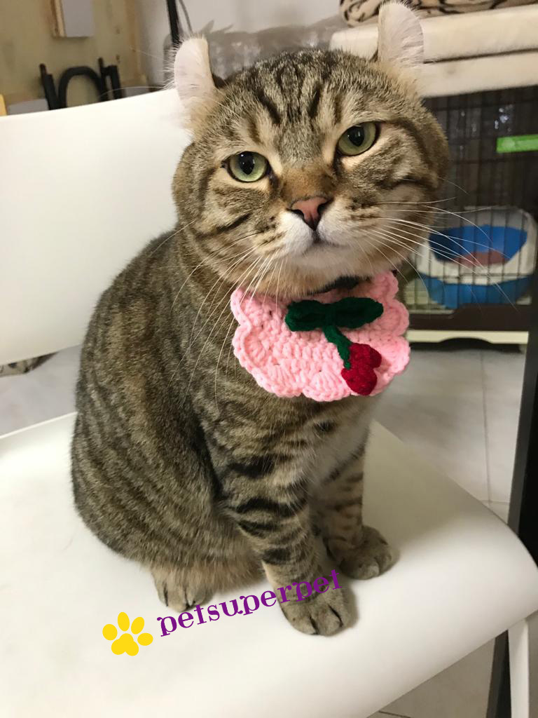 Petsuperpet 寵物多彩手工毛線頸圍口水巾 [多款]