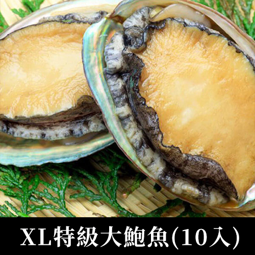 10入XL特級大鮑魚(共1kg±5%)