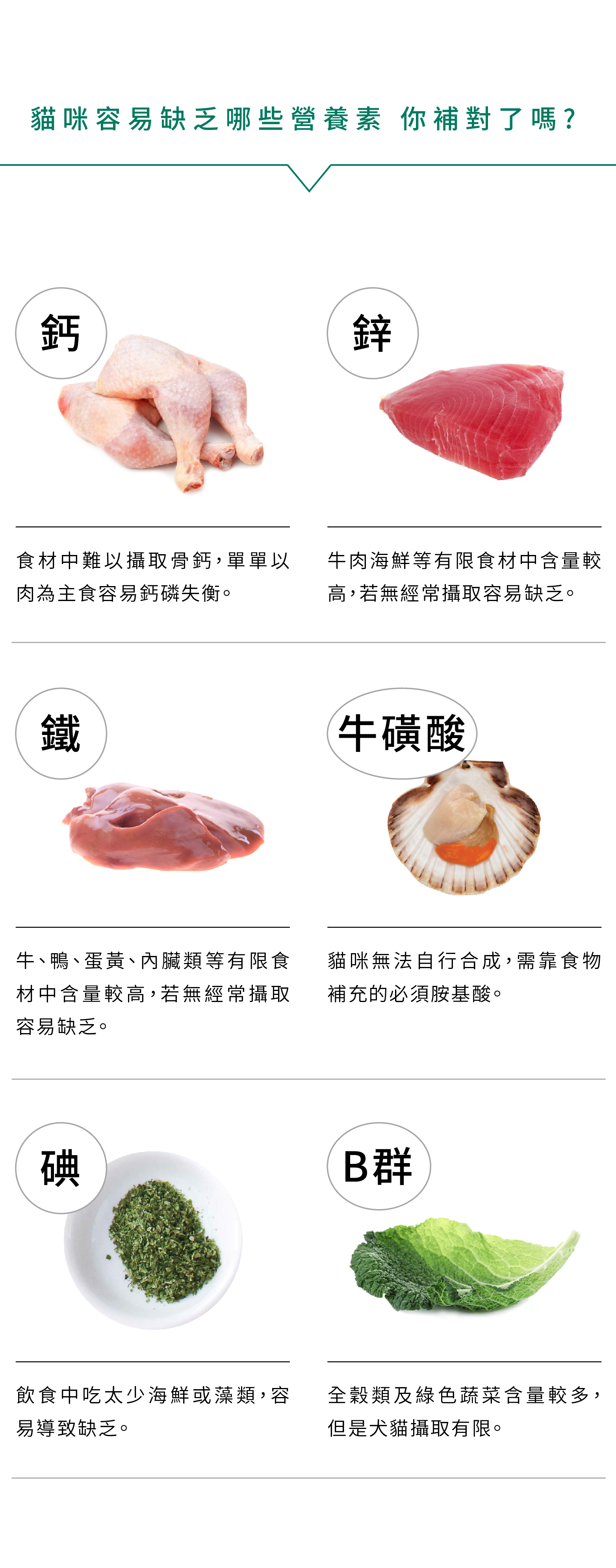 貓咪容易缺乏的鈣、鋅、鐵、碘、牛磺酸、離胺酸、維生素B群，貓營養品貓用綜合營養粉都能補充。