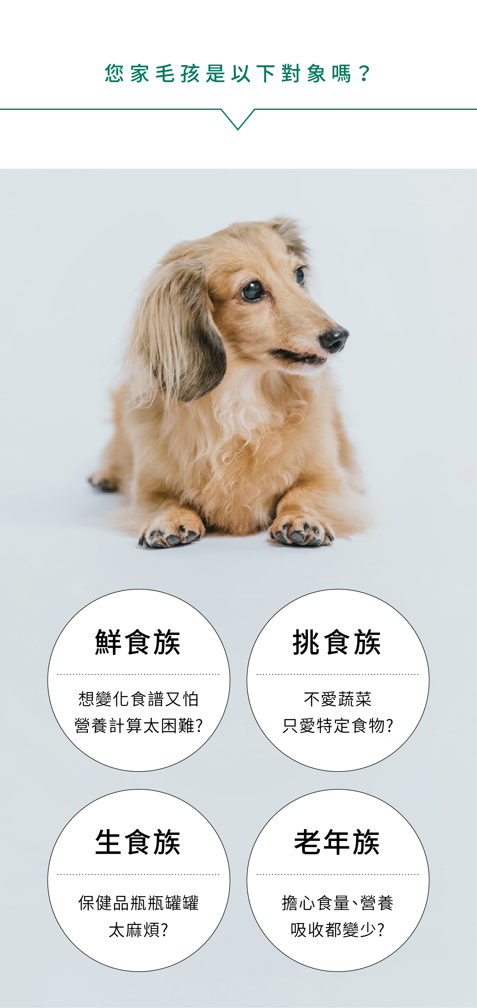 不論是吃鮮食、生食的狗狗，或者是挑食狗狗、年紀大的狗狗，都適合吃寵立善的犬用綜合營養粉。