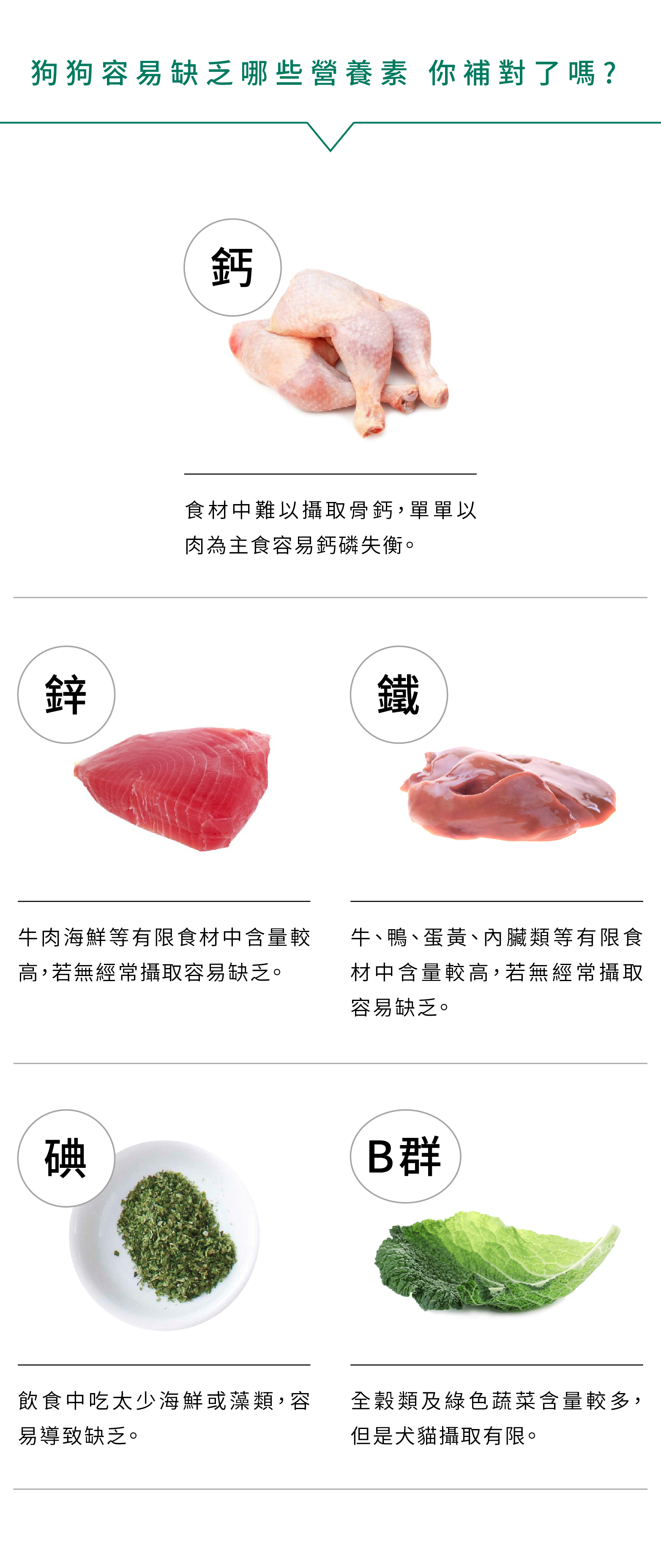 狗狗容易缺乏的鈣、鋅、鐵、碘、維生素B群，犬用綜合營養粉都能補充。