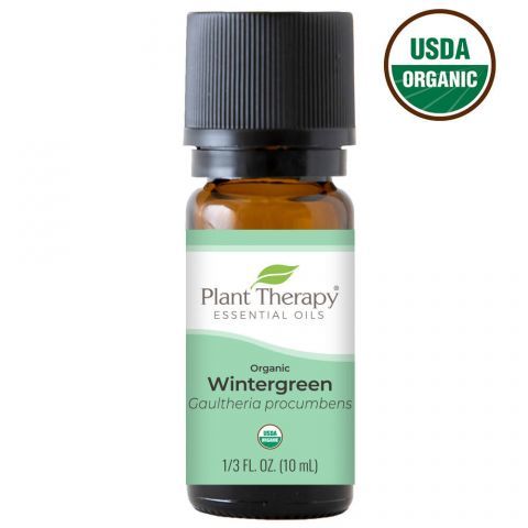 Plant Therapy 有機冬青Wintergreen 精油 -10ml