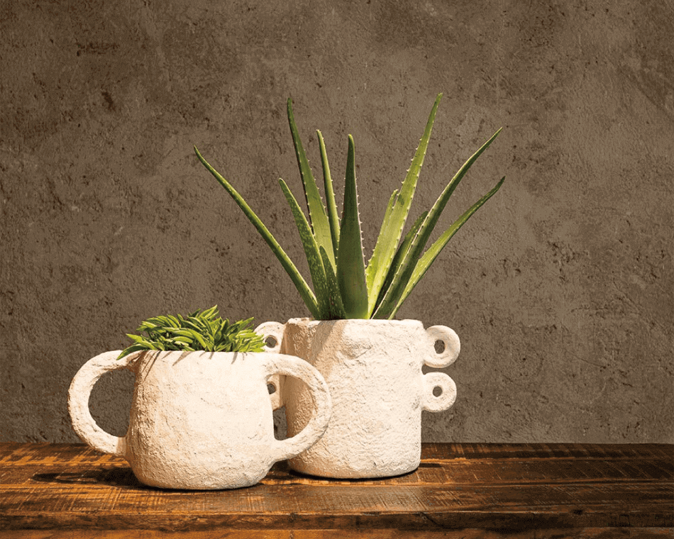 紙漿製成的花器, 凹凸不平的結構和手工製作的感覺即使沒有植物也很當作精緻的擺飾品