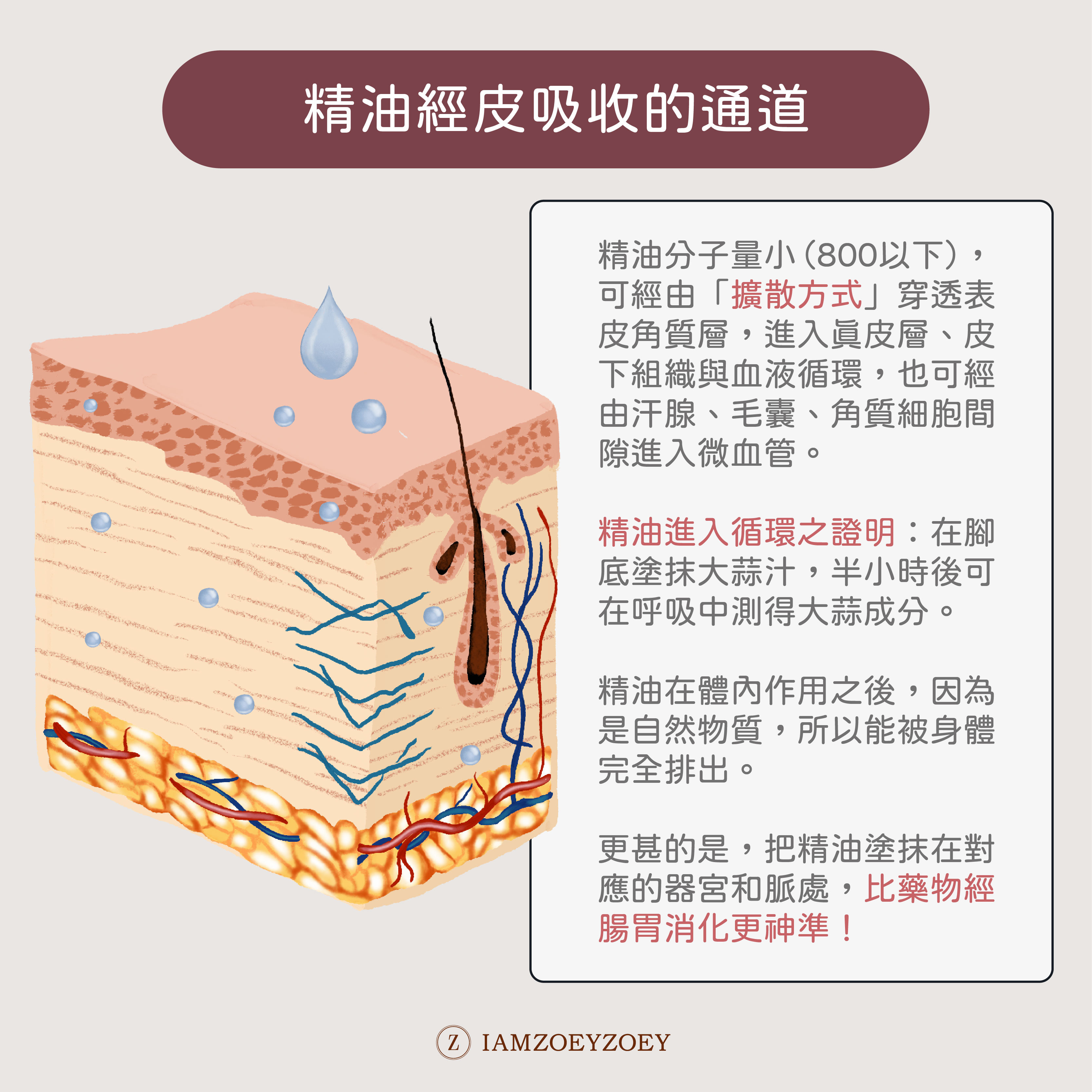 子宮精油原理是