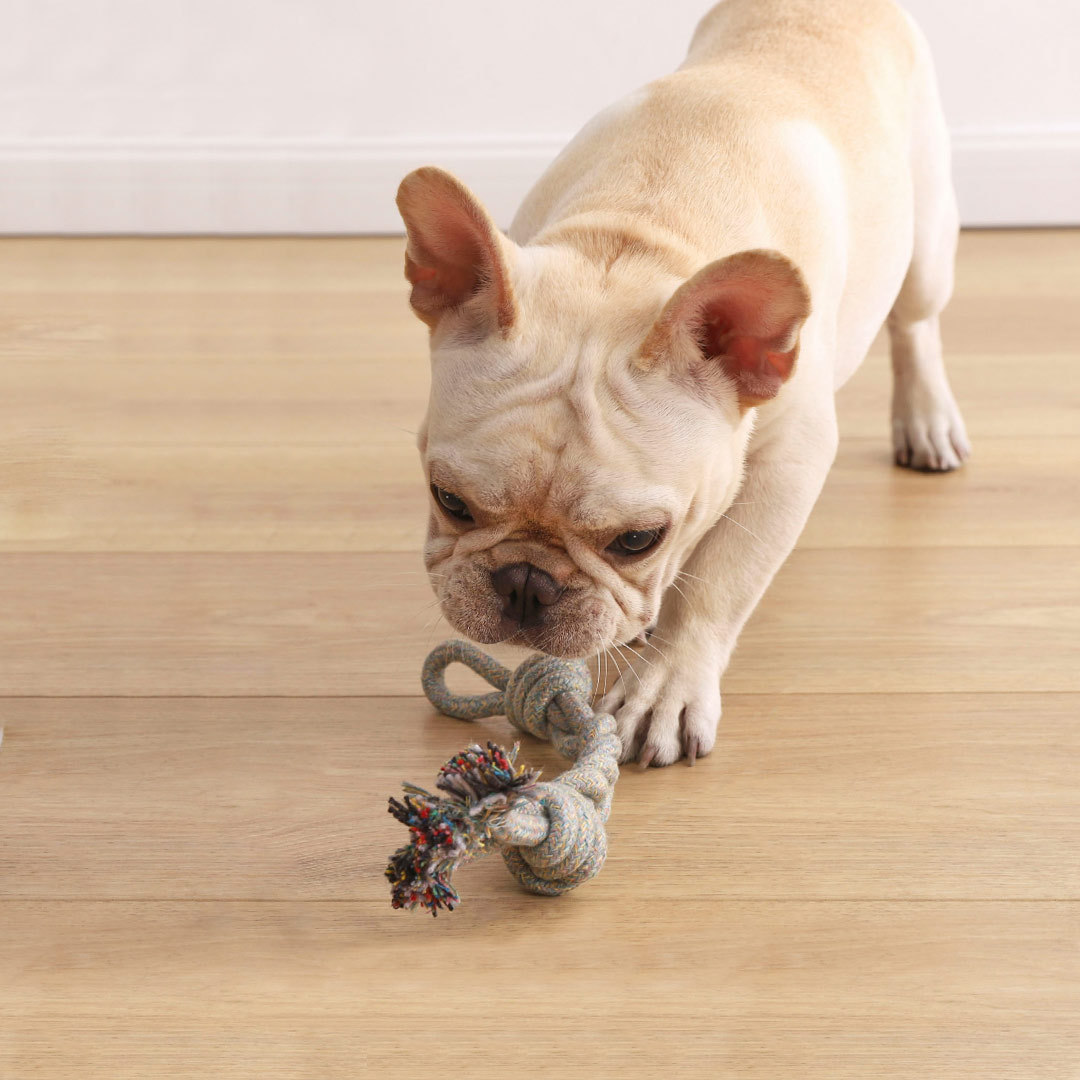 ELITE棉绳玩具2件套