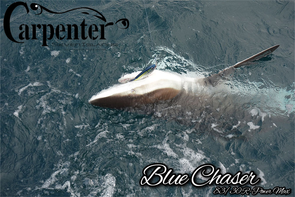 CARPENTER BLUECHASER 84/25R-PM・SC Big Game Fishing Rod Saltwater
