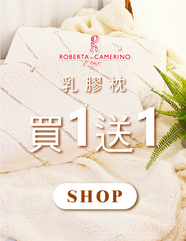 天恩寢具冬特賣，超好眠枕頭買1送1