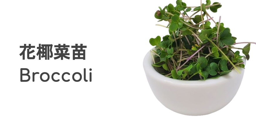 Micro-green Mixed Salad 100g