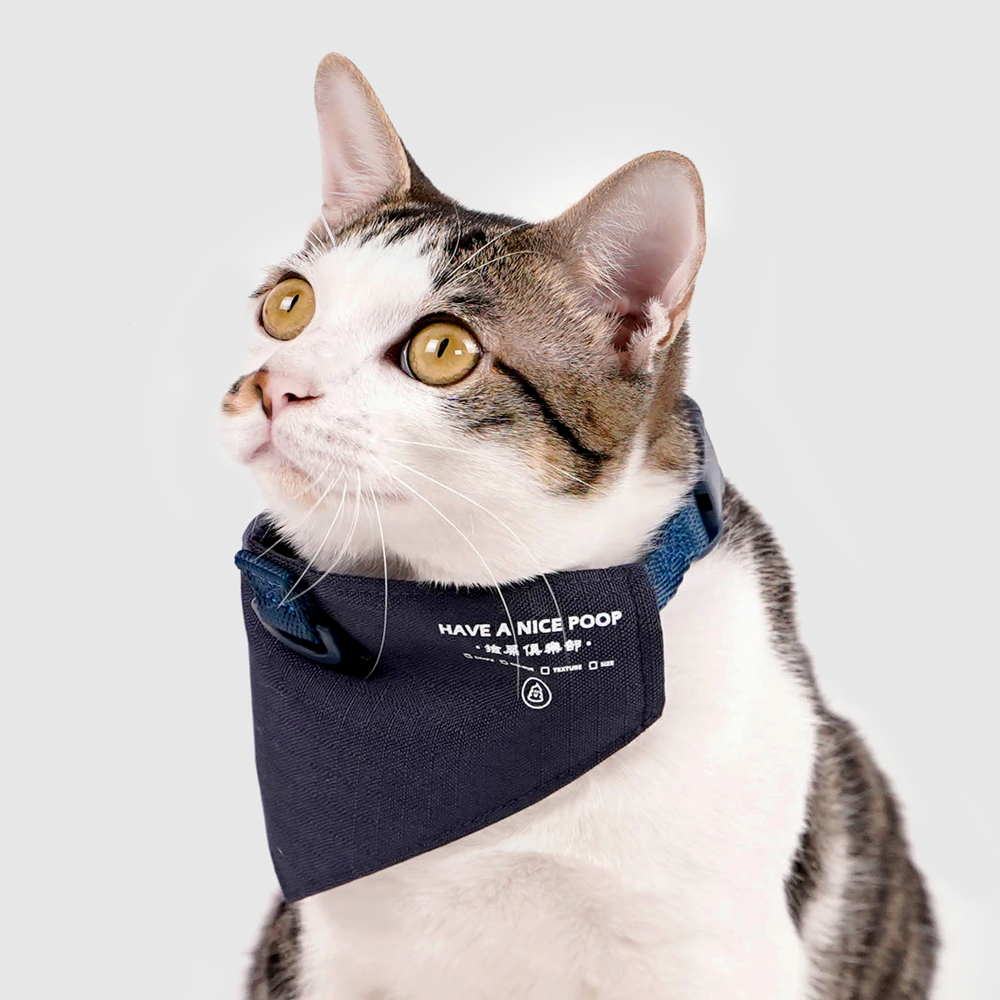 2020 Camp de Amigo 聯名︱寵物領巾 - 藍