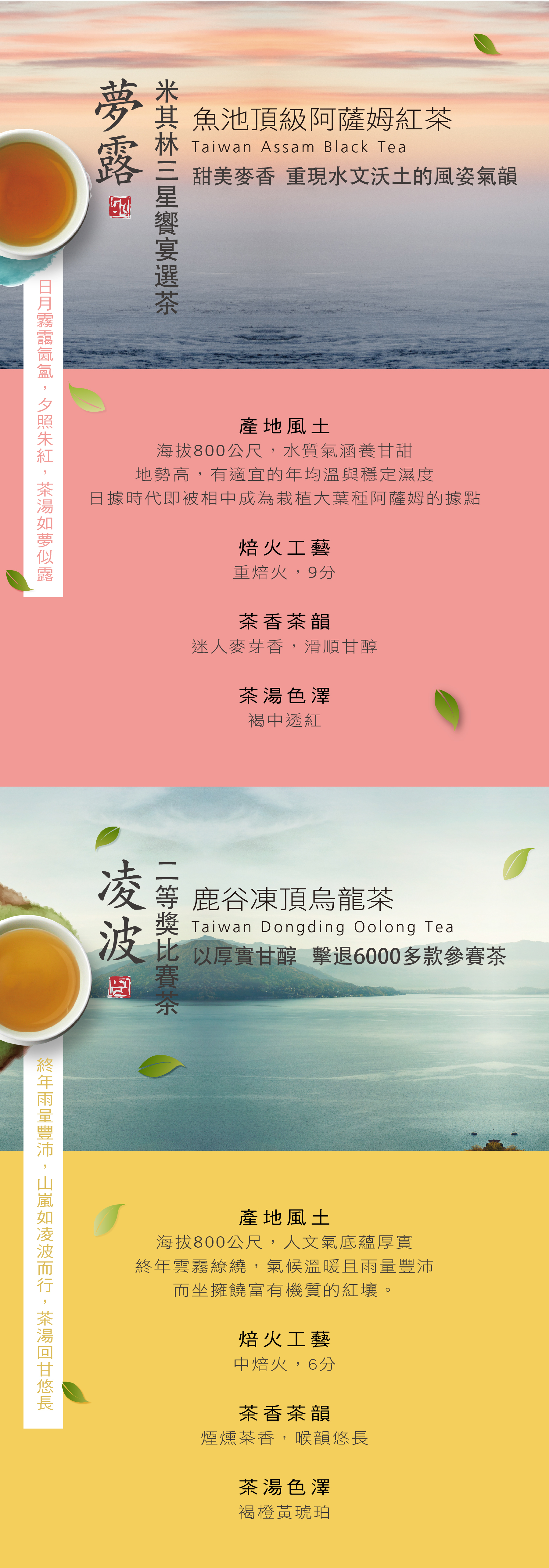台灣高山茶四種組合，台灣高山茶排名最高的人氣精選手採茶葉，一次感受來自臺灣的茶香與韻味。