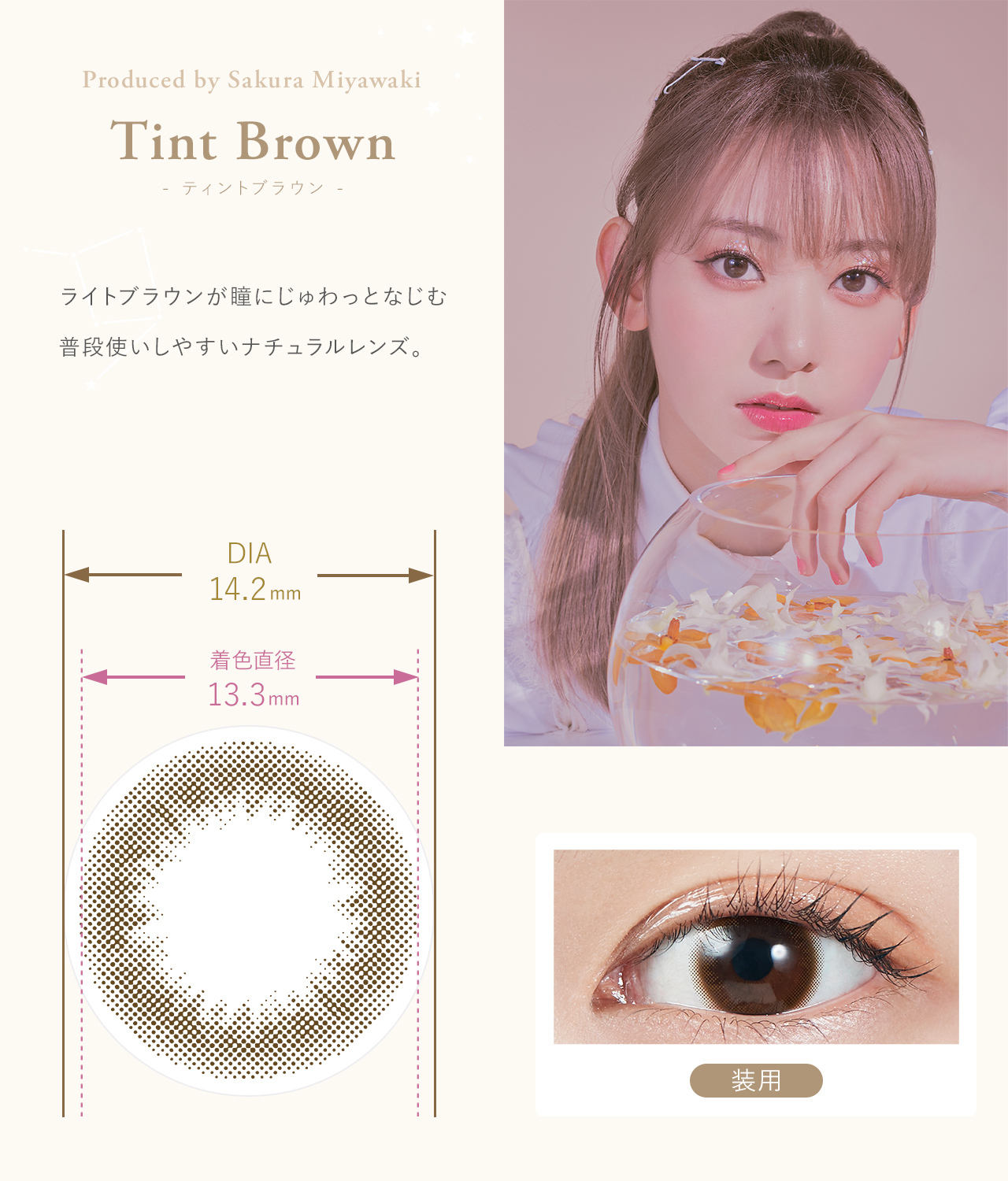 Molak 1Day Color Contact Lenses 日本Molak 每日即棄有色隱形眼鏡 10片(Tint Brown)