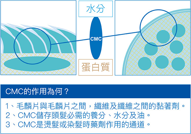 CMC的作用