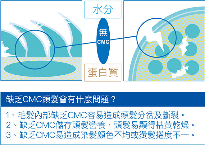 缺乏CMC的頭髮會有什麼問題