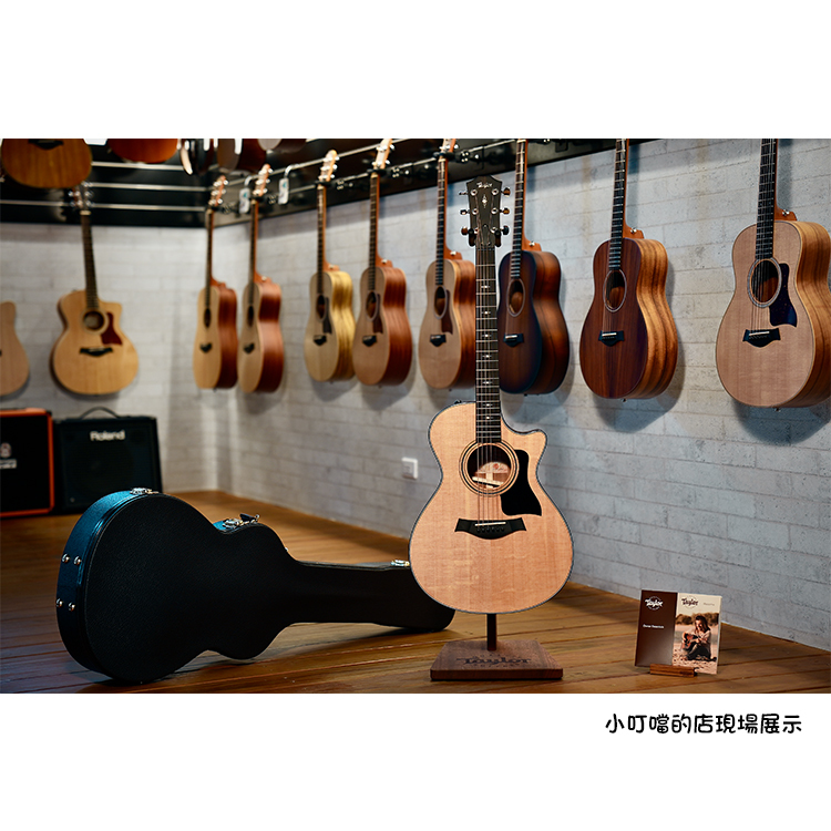 Taylor 312ce 電木吉他