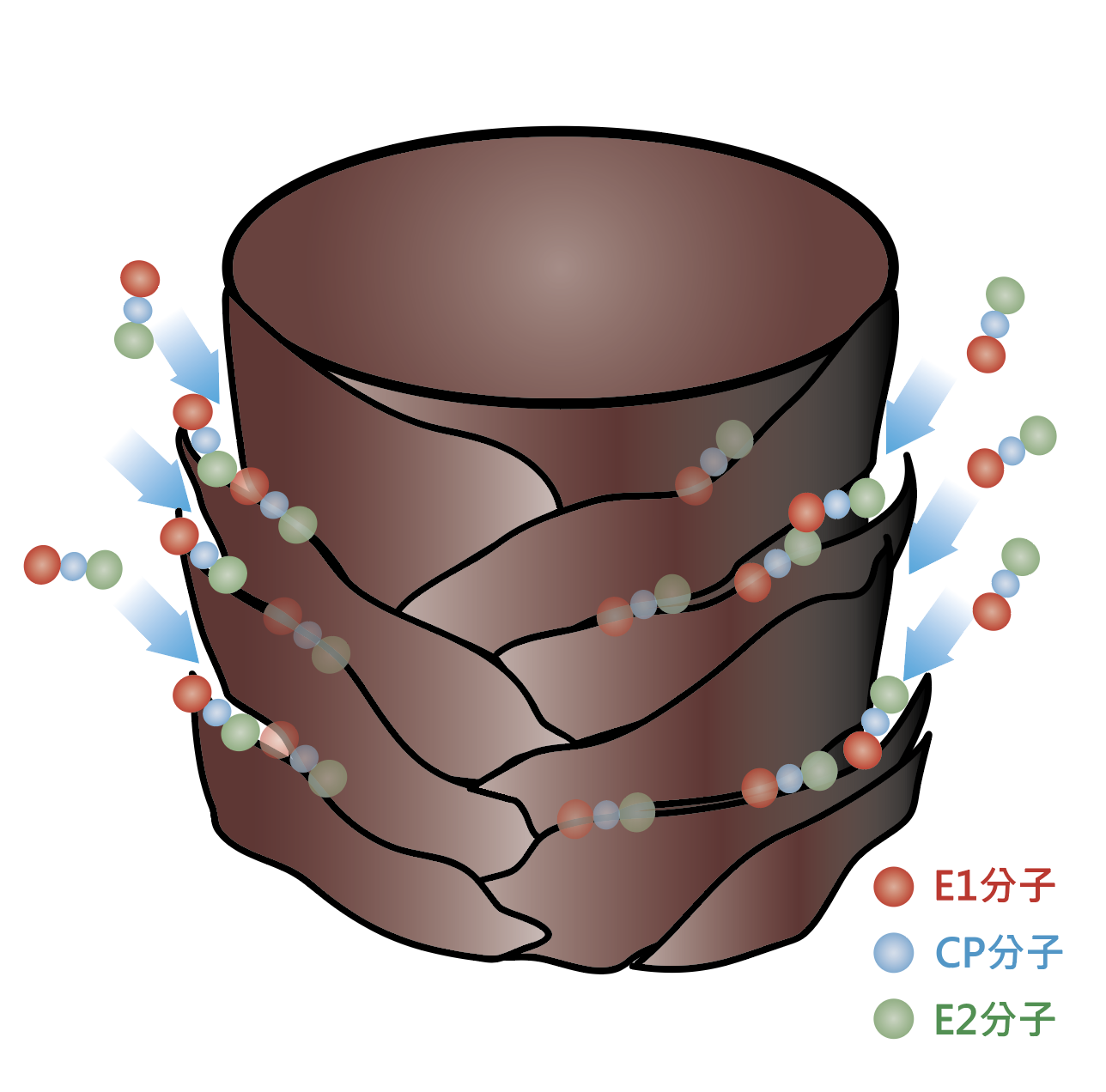 亞壽特結構式護髮補充