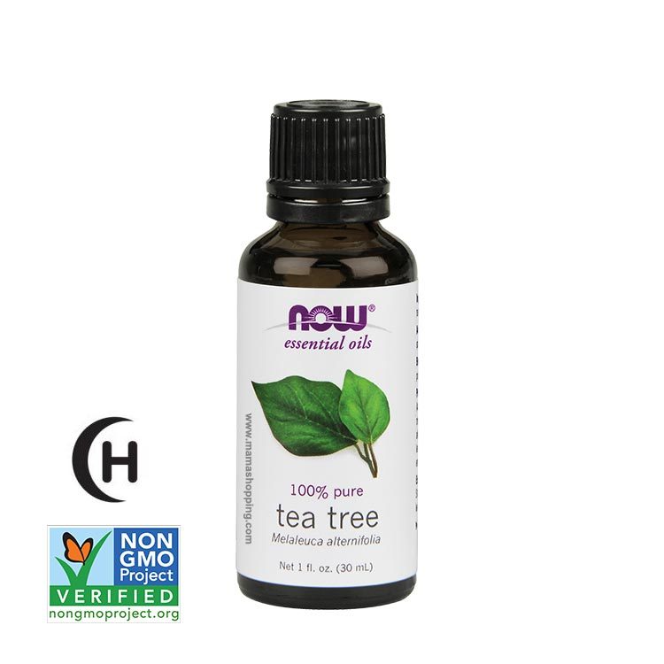 美國 NOW® 100% 純茶樹精油 (Tea Tree) - 30ml
