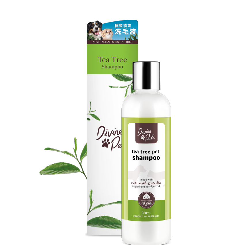 Divine Pets 極致清爽洗毛液 500ML*