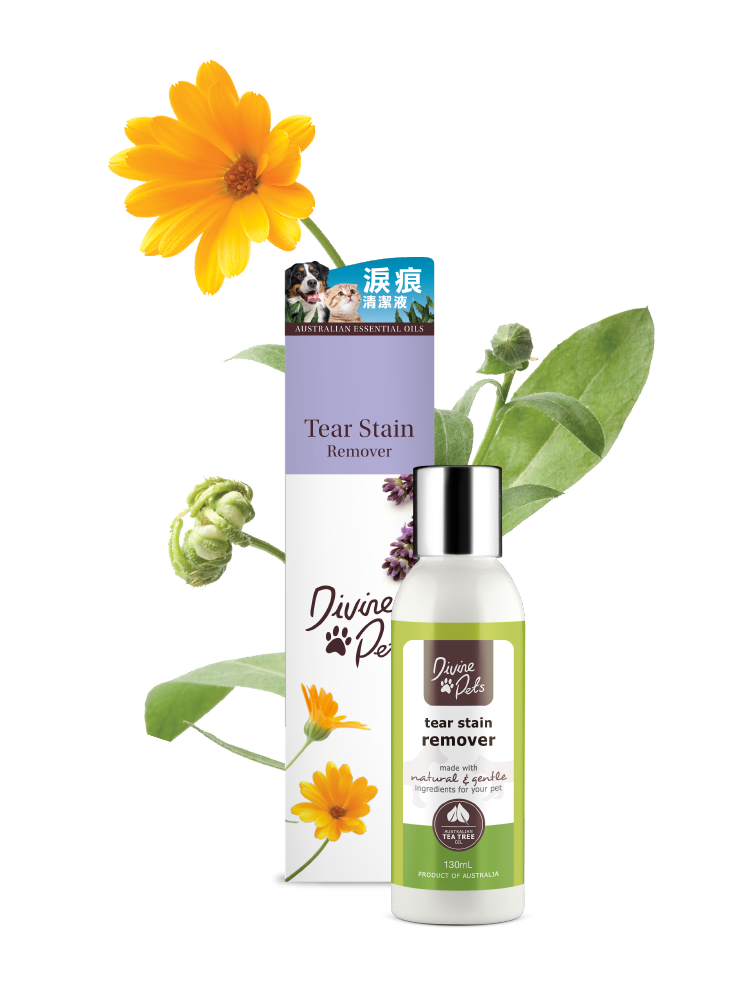 Divine Pets 淚痕清潔液 130ml