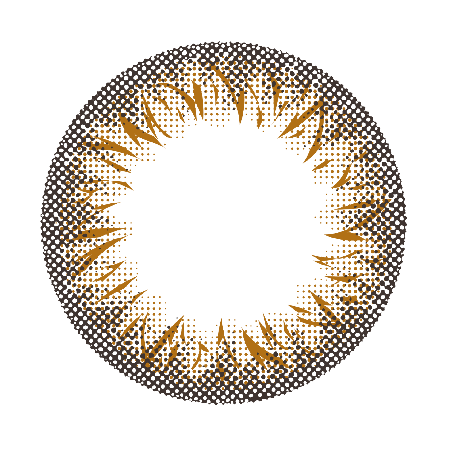 V04拉丁棕(一盒10片裝)