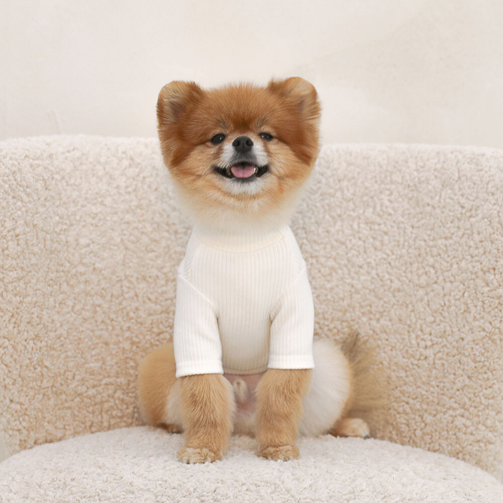 💟 Near by Us 💟 基本款高領衫(米白)