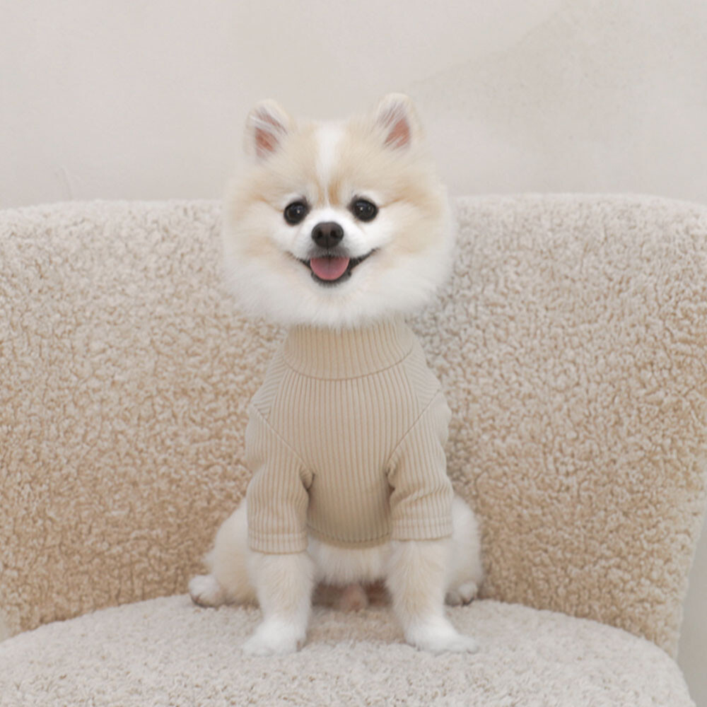 💟 Near by Us 💟 基本款高領衫(卡其)