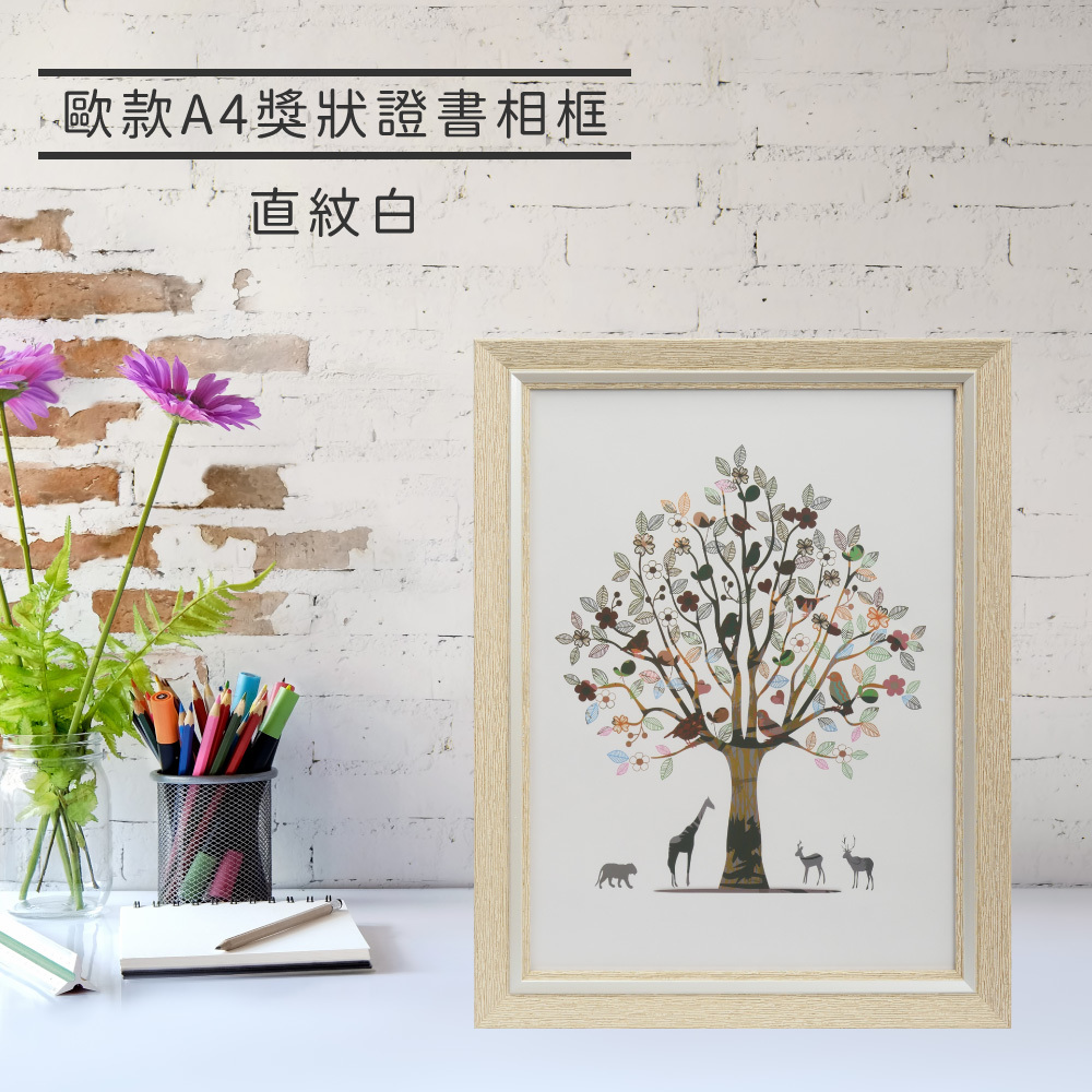 歐款A4獎狀證書相框 - 直紋白