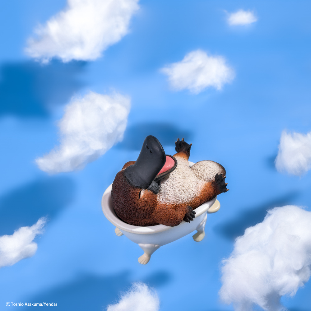 Animal Life朝隈俊男 TTF玩具展限定款公仔 鴨嘴獸