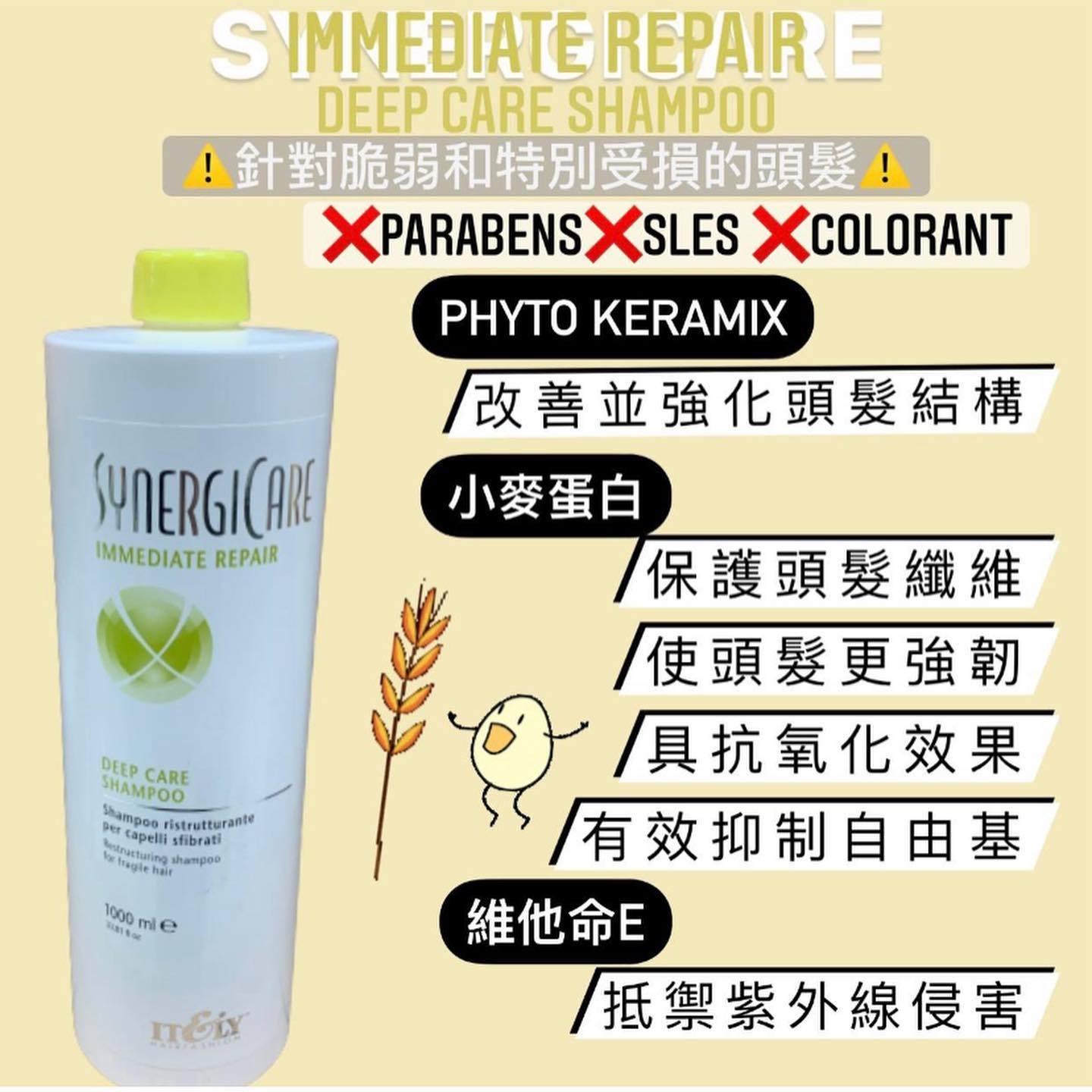 Synergicare Deep Care 深層修護洗髮水  - 250ml/1000ml