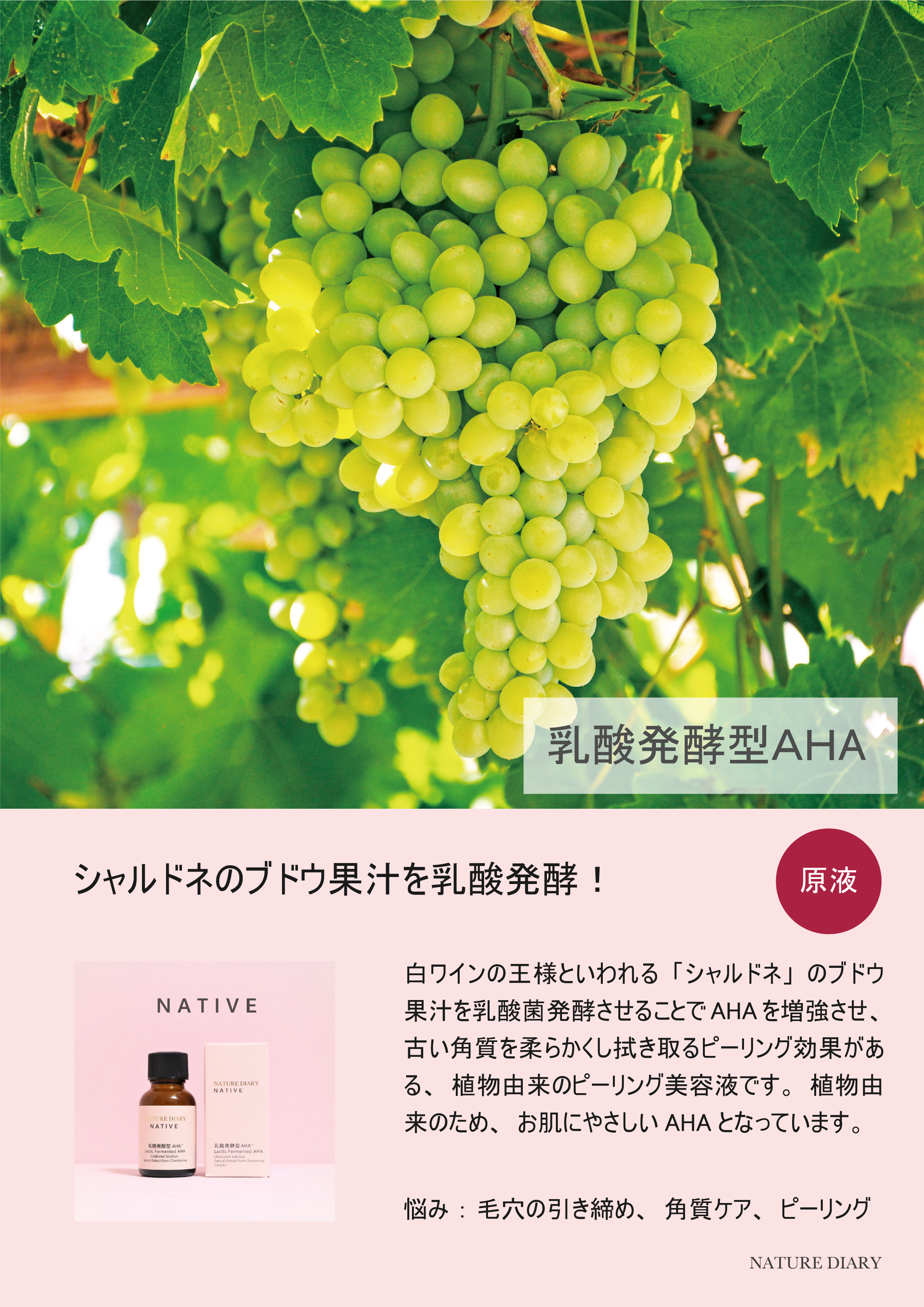 NATURE DIARY 原液系列 NATIVE 乳酸發酵型AHA 20ml