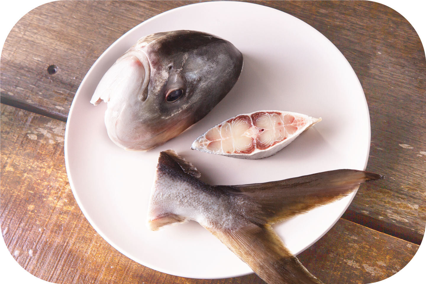 蟲草花螺片淮山杞子圓肉湯~連本地養殖魚件 (320g-480g)