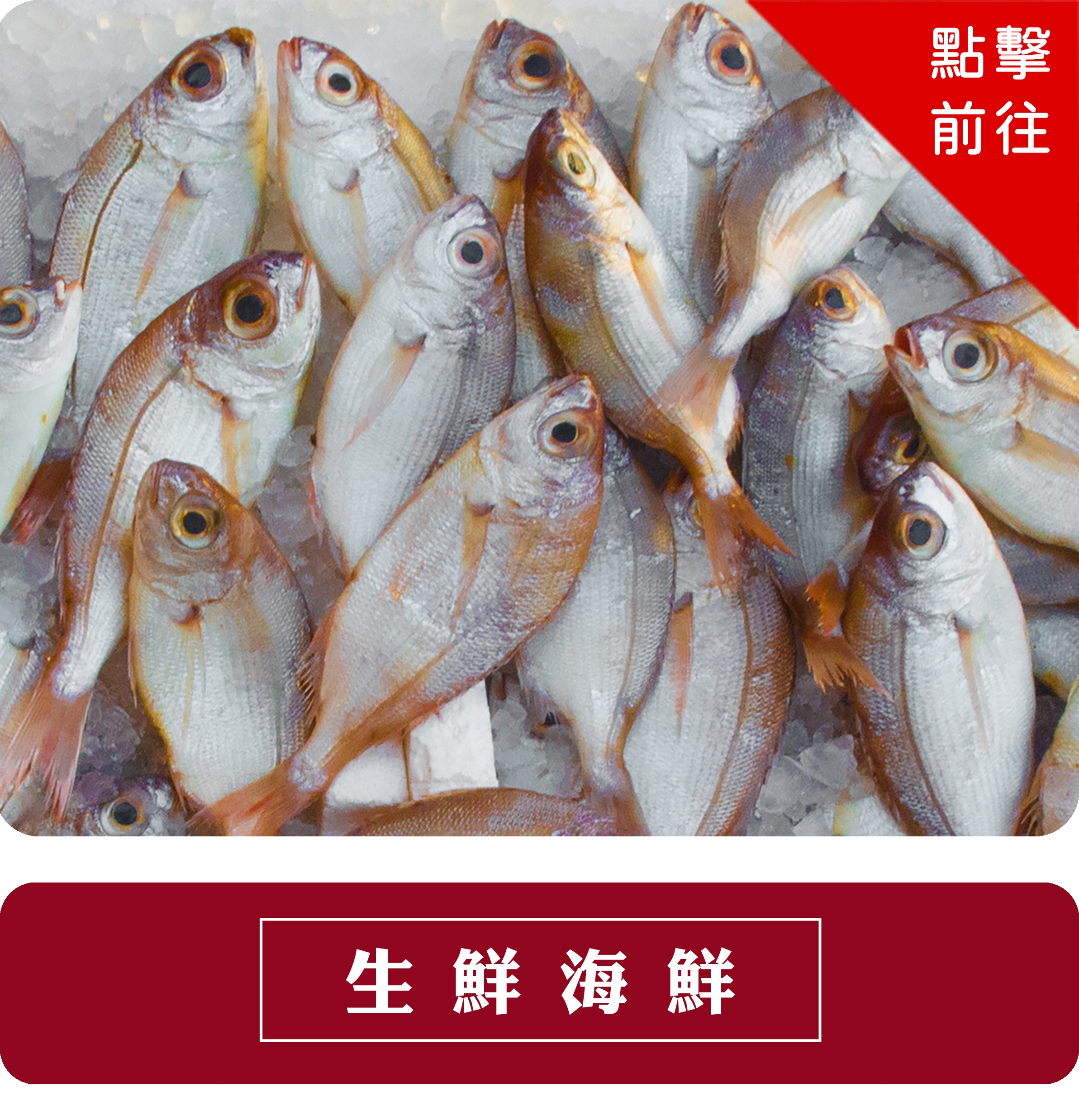 生鮮海鮮專區