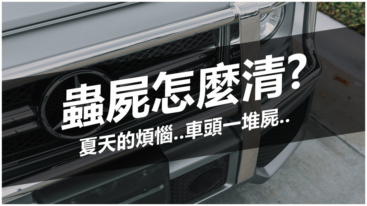 蟲屍怎麼清? 夏天的煩惱...車頭一堆屍...