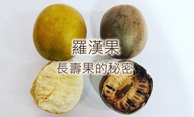 ❣️Suki 小分享❣️識揀當然揀金羅漢果