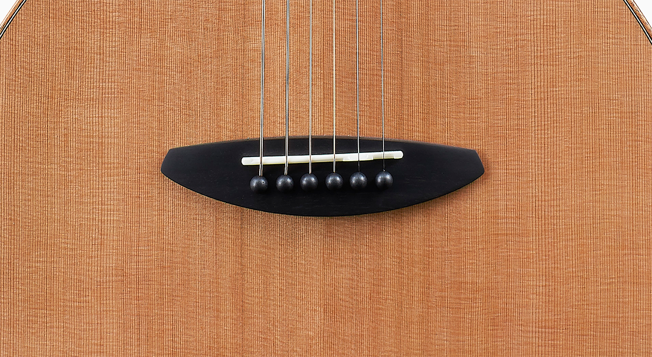 aNueNue （アヌエヌエ） M60 ギター杉田健二監修ミニギター aNueNue M60 アコースティックギター Travel Series ミニギター