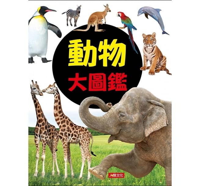 //福利品//動物大圖鑑-自然探險隊