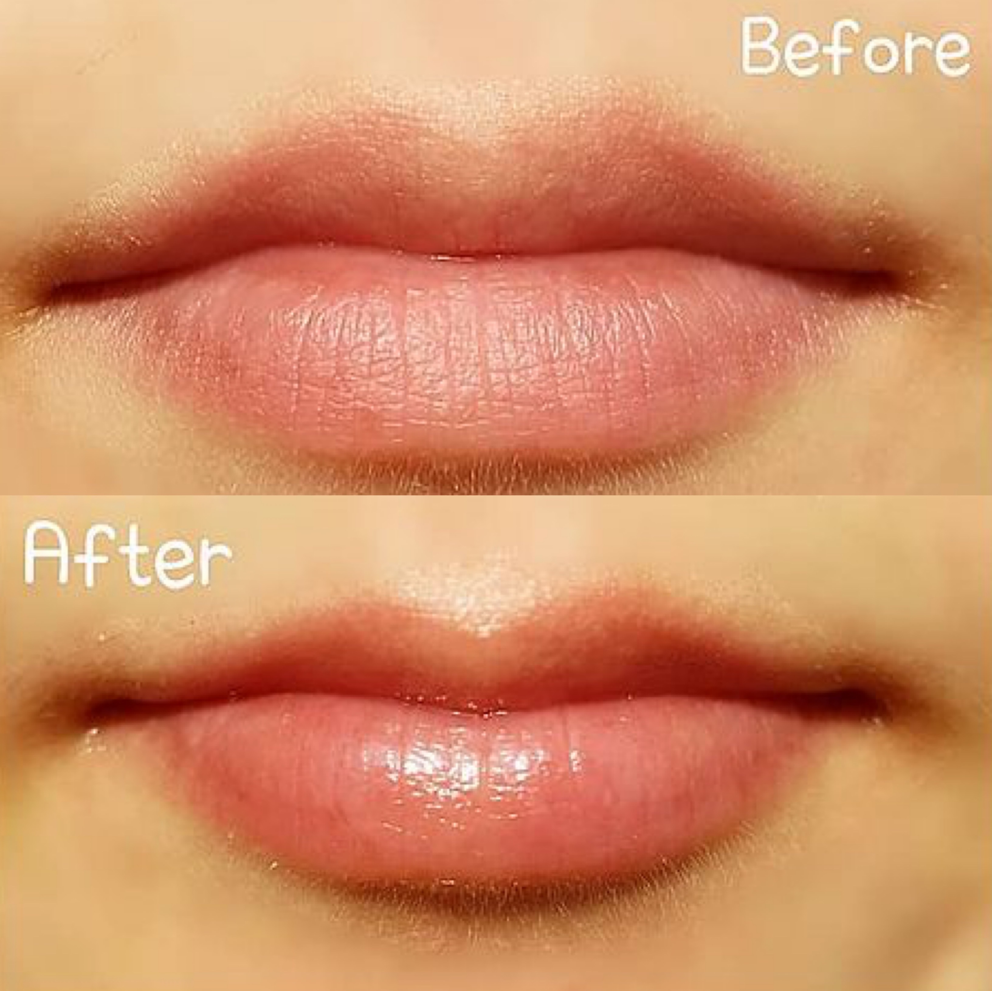 Sidmool Jojoba荷荷巴滋潤護唇精華