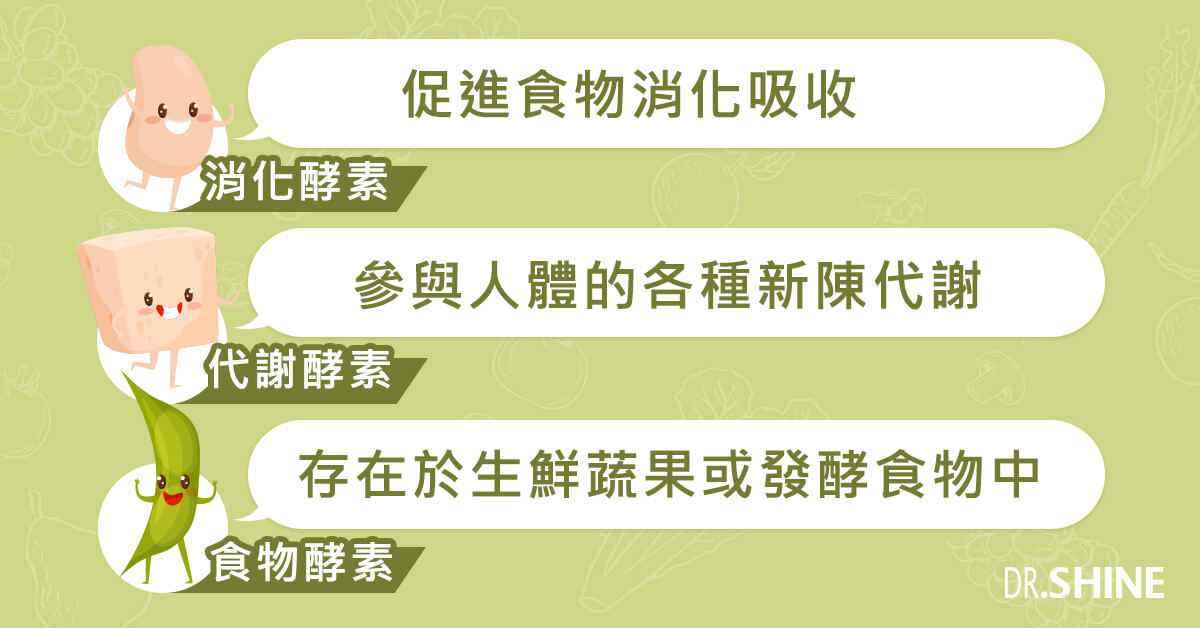 酵素的好處有哪些 種類 挑選方法一次了解