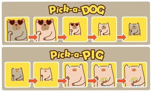 Pick-a-Dog 豬朋狗友 - 犬營