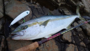 MC WORKS' Raging Bull 103XF-Trident Shore Casting Rod R