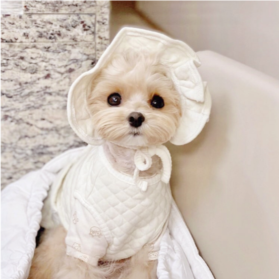 💟 Bezibebi💟 純棉寶寶背心與帽子