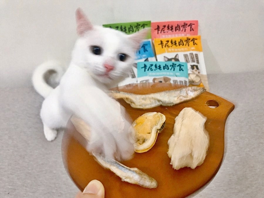 貓咪想吃卡尼零食