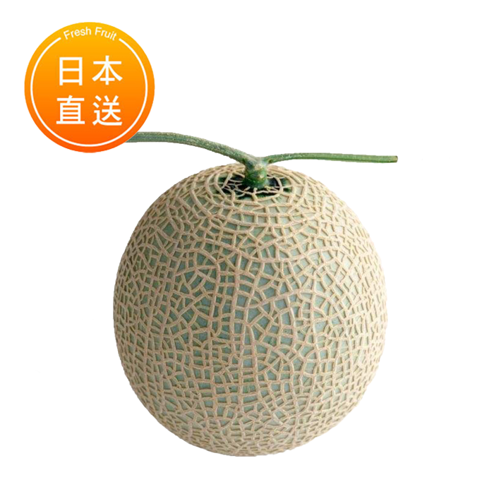 日本靜岡縣白印蜜瓜