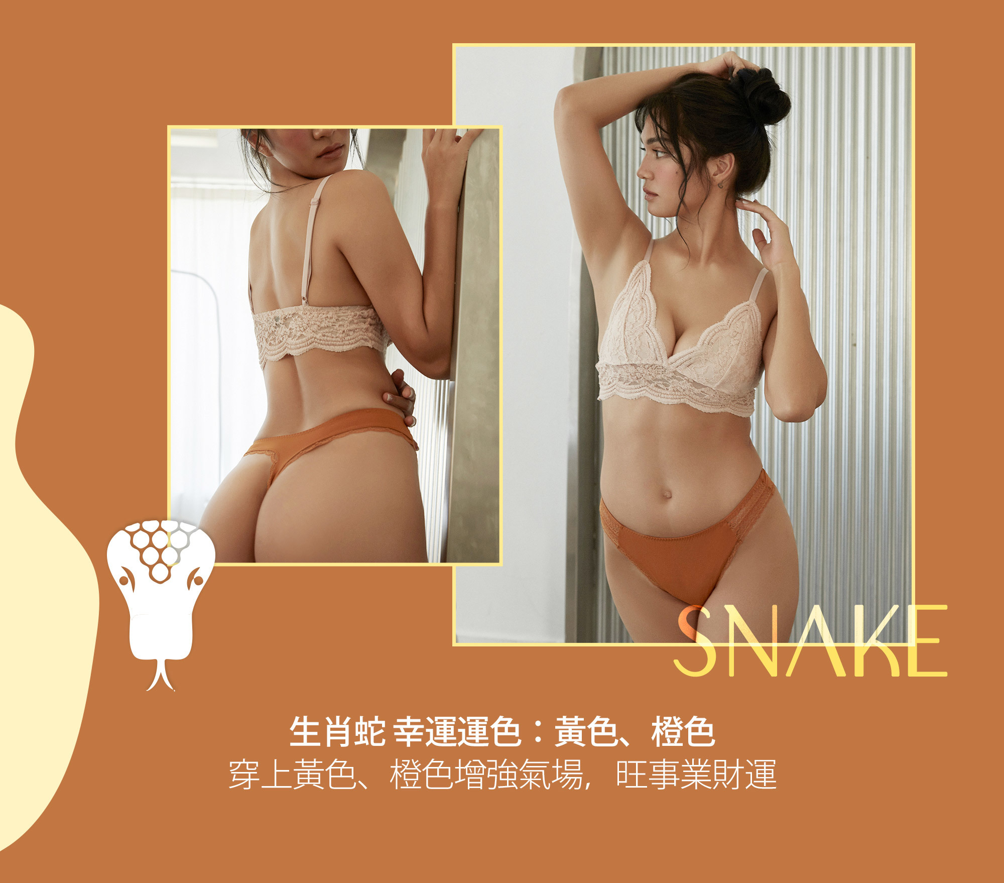 生肖蛇幸運色：黃色、橙色