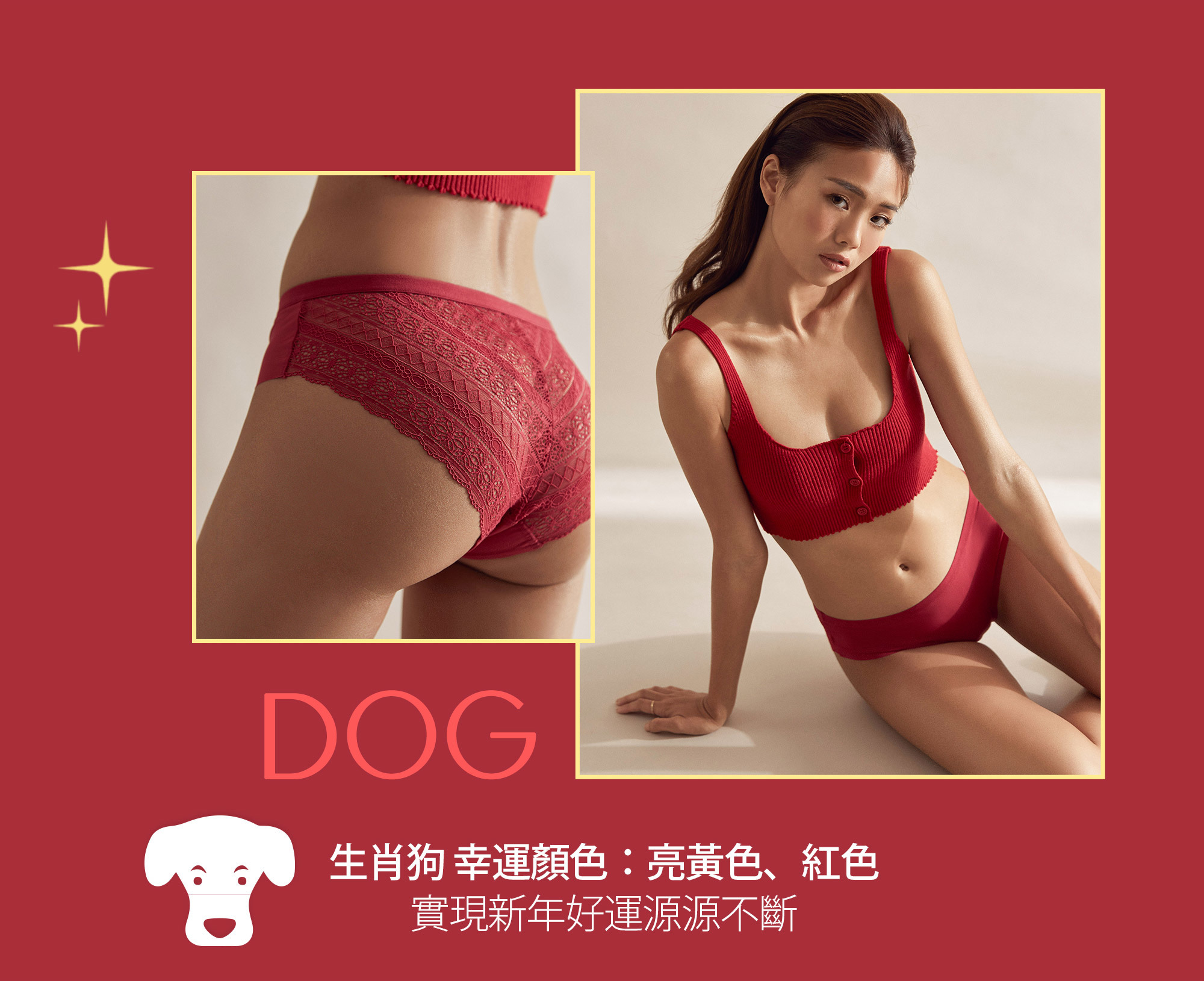 生肖狗幸運色：亮黃色、紅色