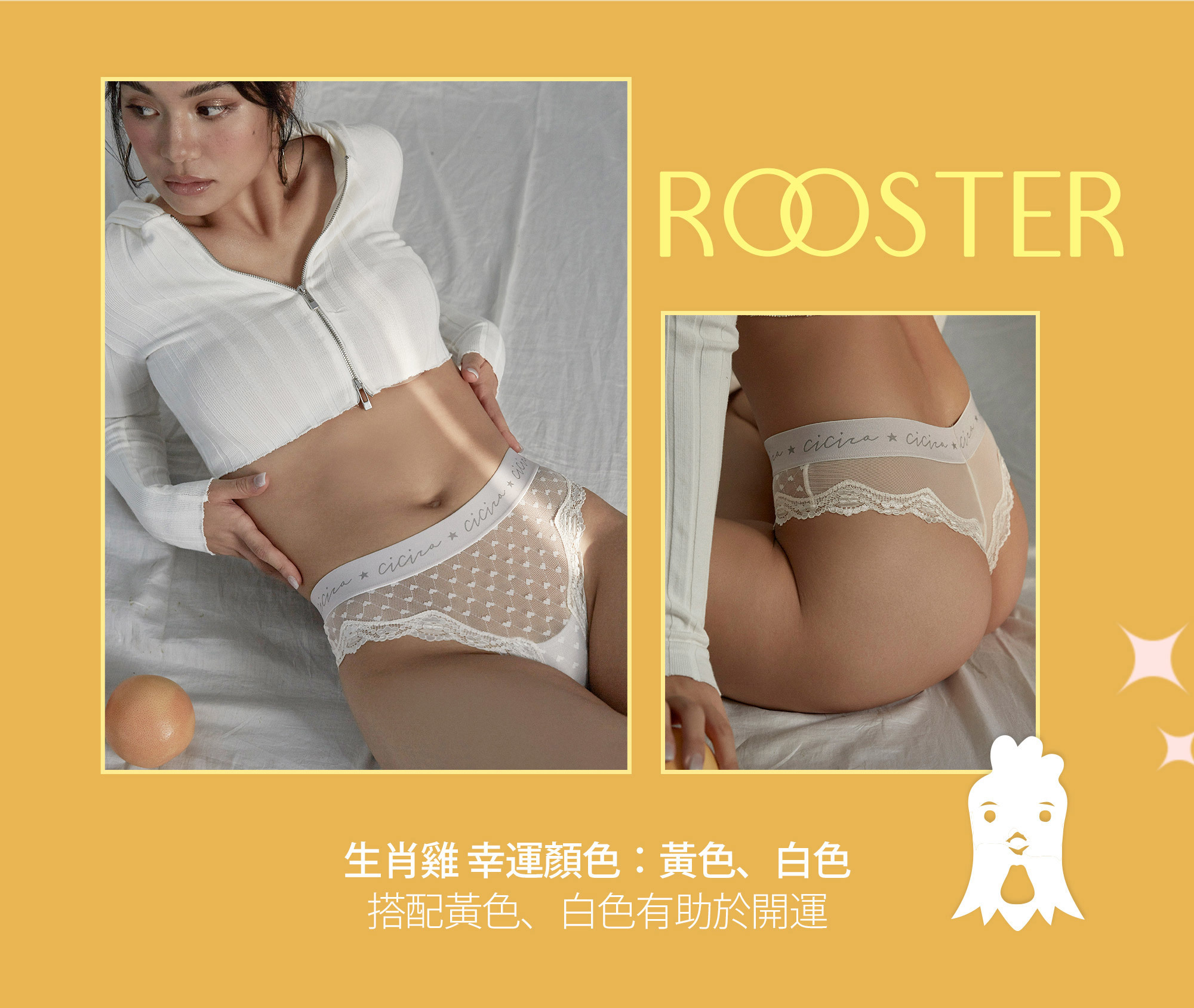 生肖雞幸運色：黃色、白色